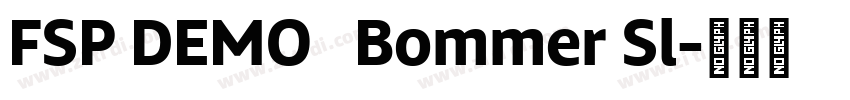 FSP DEMO   Bommer Sl字体转换